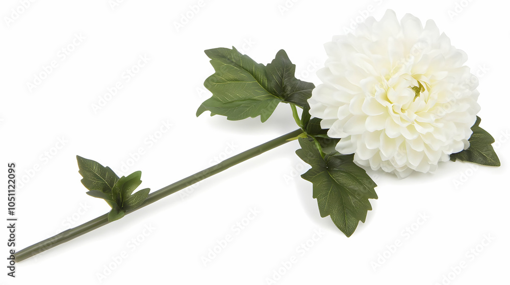 Nauture and Flower Background - A white artificial flower with green leaves, suitable for decoration or gifting. Nauture and Flower Background - A white artificial flower with green leaves, suitable for decoration or gifting.