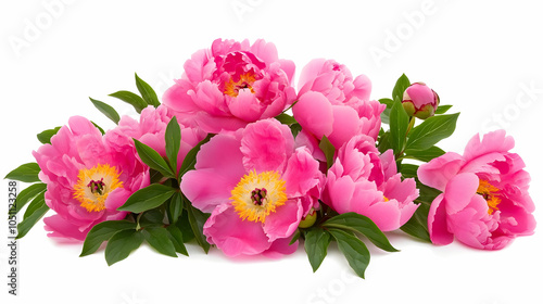 Wallpaper Mural Nauture and Flower Background - A vibrant arrangement of pink peonies with green leaves, showcasing natural beauty. Torontodigital.ca