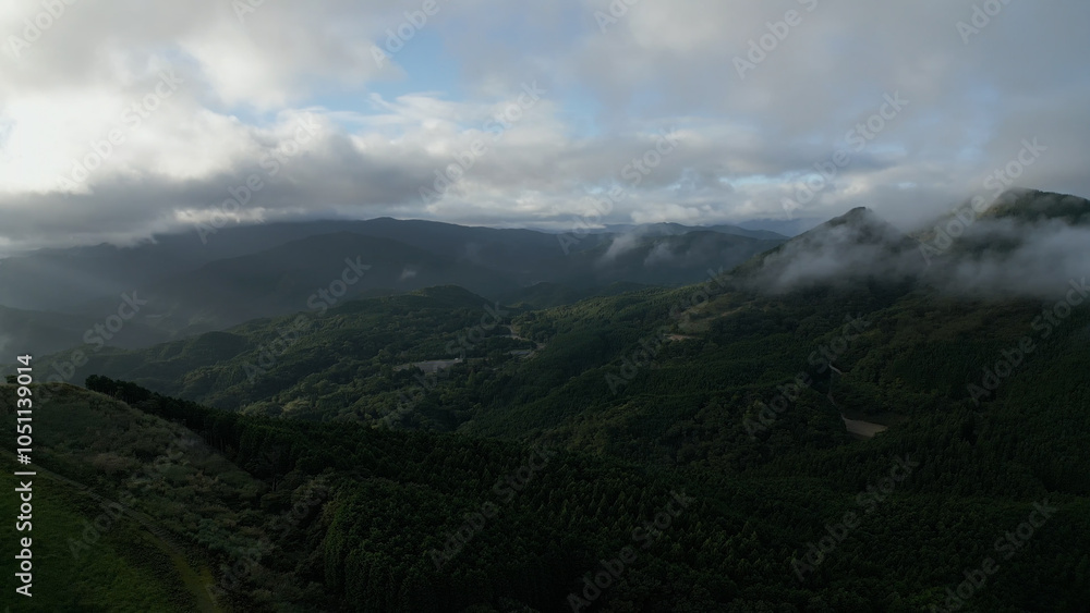 Fototapeta premium 曽爾高原ドローン空撮07