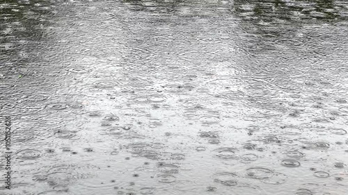 Drop circle ripples on water surface of lake during rain
