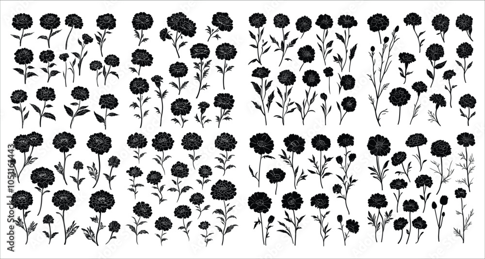 Fototapeta premium Marigold flower silhouettes. Black silhouettes of marigold flower. Decorative floral design elements, Beautiful marigold flower silhouettes, Black marigold flowers silhouettes on white background