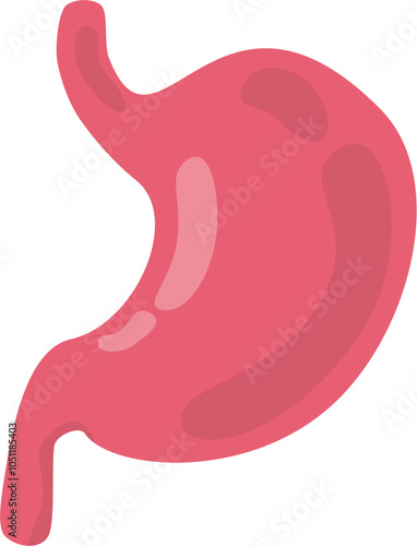 Human stomach Illustration 
