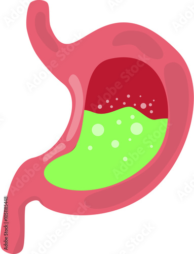 Stomach mag Illustration 