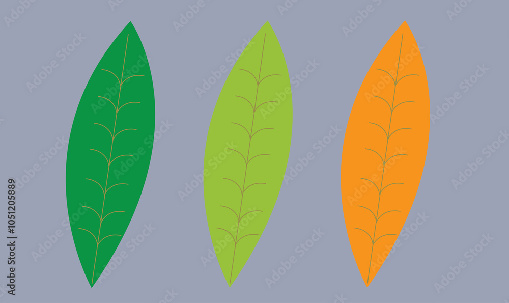 Three Colorful Leaves A Stunning Background Design