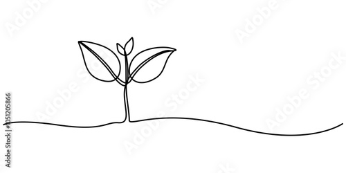 Continuous single line art drawing of plant growth processing from seed outline vector, Single line drawing of a plant, Single line drawing of a small plant, Continuous Line Drawing Of A Plant