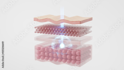 Laser light penetrating skin cells to SMAS, symbolizing skincare. 3D rendering. photo