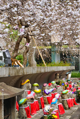 京都　頂法寺　六角堂　美しい枝垂れ桜（しだれ桜）とお地蔵さん（お地蔵様）　日本京都府京都市　Kyoto, Chohoji Temple, Rokkakudo, Beautiful weeping cherry blossoms and Jizo statue, Kyoto City, Kyoto Prefecture, Japan photo