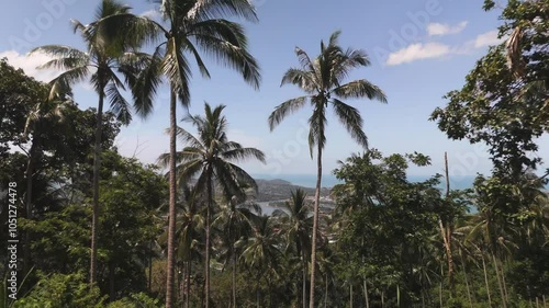 Wallpaper Mural Green palms in tropical forest on island in middle of ocean magnificence of nature tropical environments. Island in ocean with green palms in tropical forest stunning nature tropical settings. Torontodigital.ca