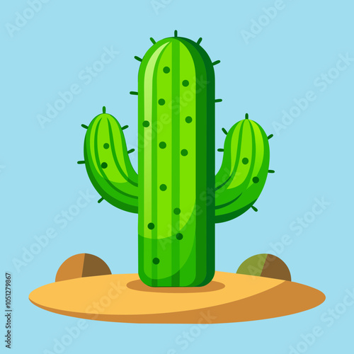 cactus in the desert