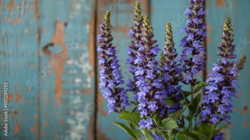 Periwinkle: A playful blend of blue and lavender, periwinkle radiates cheerfulness and calm, often seen in children’s decor and spring palettes.
 photo