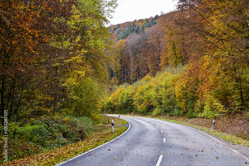 Landstraße im Wald bei toller Herbststimmung mit Herbstlaub an den Bäumen im Herbstwald bei Bad Bocklet, Franken, Bayern, Deutschland 