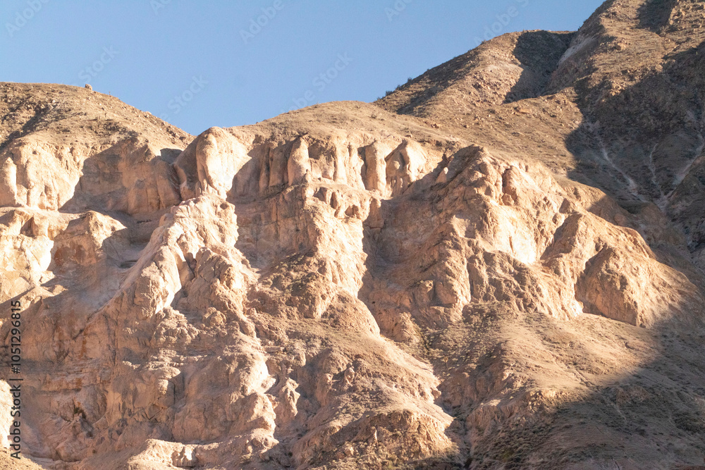 Fototapeta premium cactus candelabro en el desierto