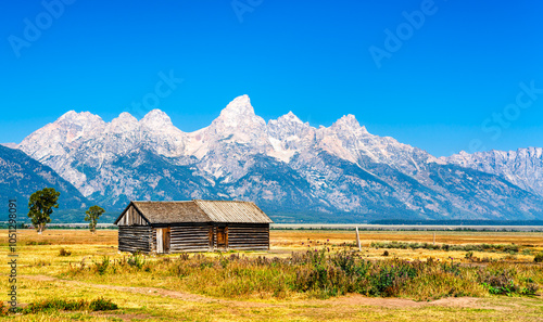 Fototapeta Naklejka Na Ścianę i Meble -  Historic John Moulton barn at Mormon Row in Grand Teton National Park in Wyoming, United States