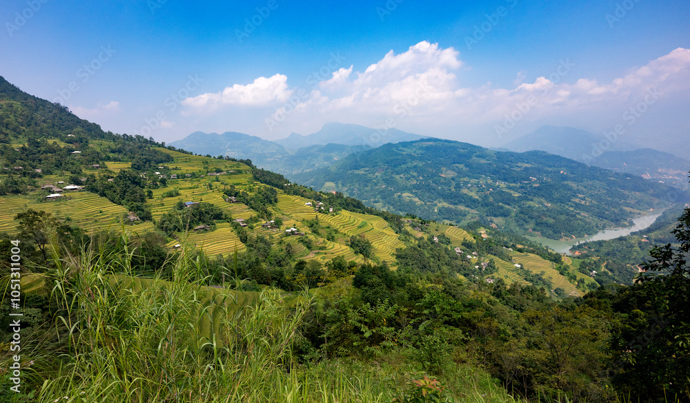 Fototapeta premium Landscape with green and yellow rice terraced fields and cloudy sky in North Vietnam