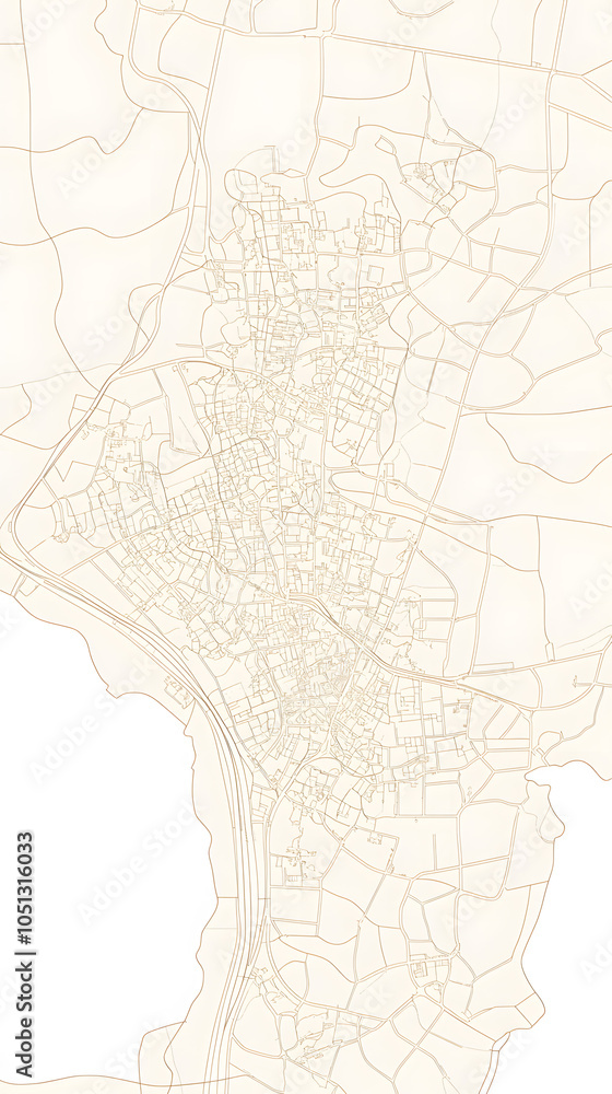 Fototapeta premium Detailed City Map of Poços de Caldas, Minas Gerais – Street and Area Layout on a white background