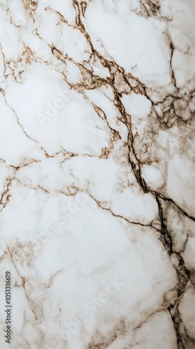 Polished Marble Surface with Intricate Patterns