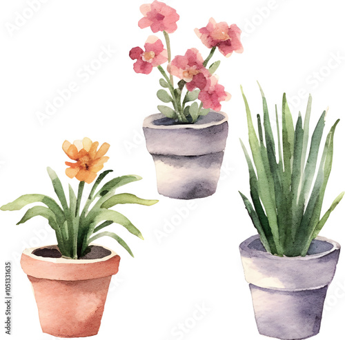 flowers in a pot