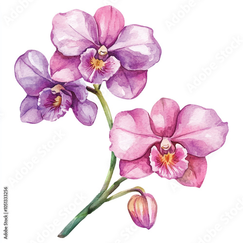 Orchid flower watercolor clipart illustration