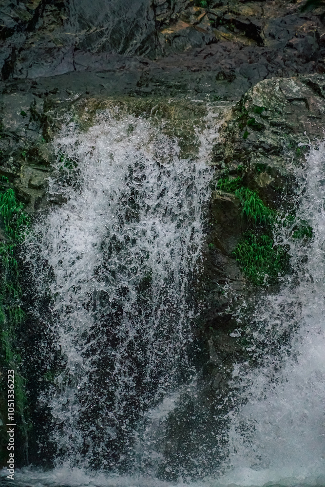 custom made wallpaper toronto digitalA scenic view of a lush green forest with a waterfall cascading over rocky terrain.