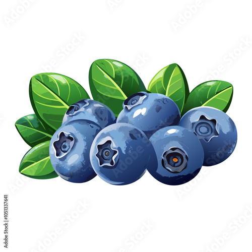 Blueberries With Leaves Realistic vector illustration (4)