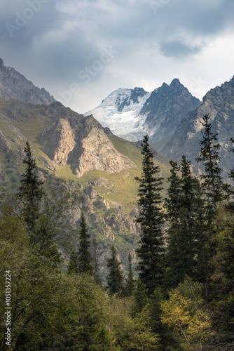 Tall Tien Shan spruce trees rocky cliffs and snow-capped mountains in Ala Archa national park photo