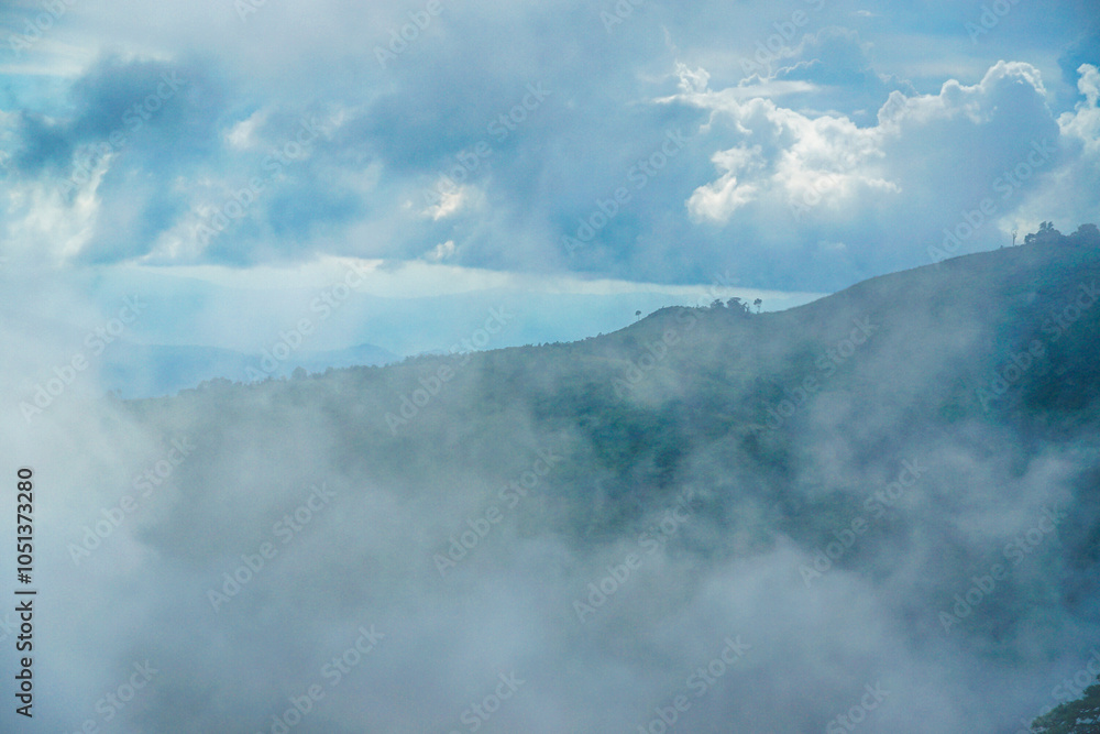 Obraz premium A mist-covered forested hillside with a few scattered trees under a partly cloudy sky.