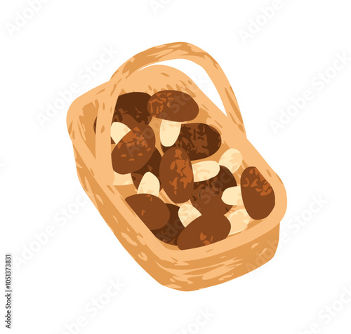 Mushrooms in basket. Forest fungi, picked collected autumn harvest in wicker, full of fungus, fall seasonal food, boletus, porcini. Flat graphic vector illustration isolated on white background