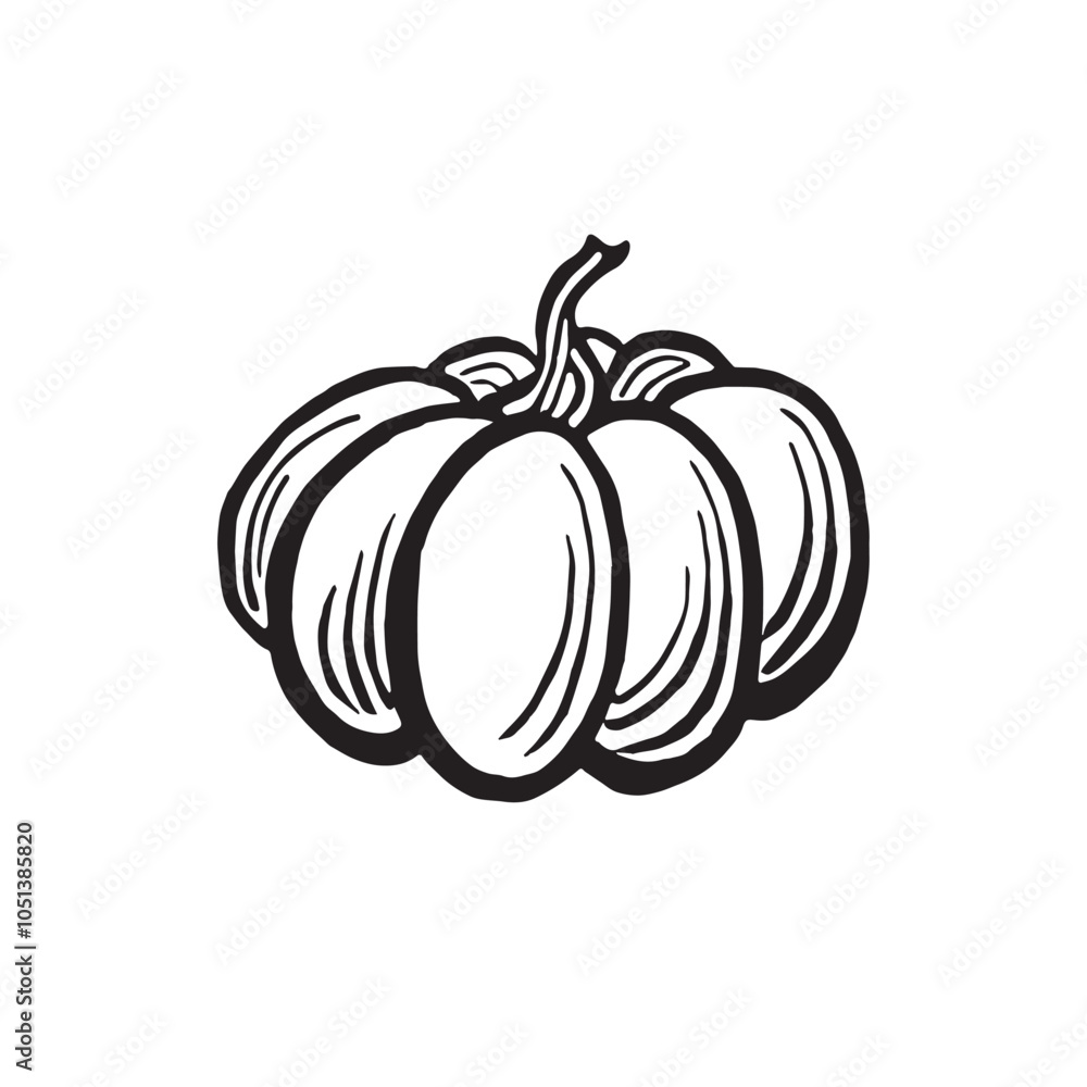 Pumpkin whole ripe sketch. Vector graphic line illustration, hand drawn isolated. Thanksgiving traditional autumn vegetable. Farm product. Clipart for postcard, Halloween, Harvesting, wrapping, menu. Pumpkin whole ripe sketch. Vector graphic line illustration, hand drawn isolated. Thanksgiving traditional autumn vegetable. Farm product. Clipart for postcard, Halloween, Harvesting, wrapping, menu.