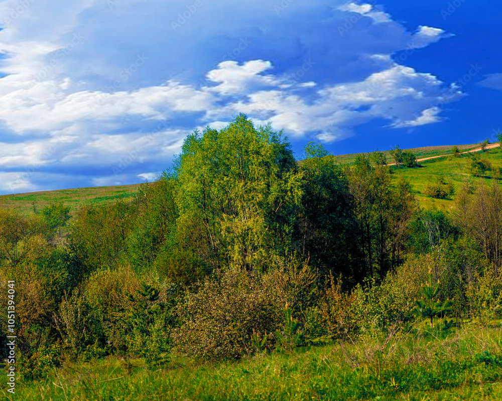Panorama of the lake and green forest with fir trees in the park in summer in spring. Blue sky. with reflection in water. Bashkortostan. in the park. Blagoveshchensk. Russia. Panorama of the lake and green forest with fir trees in the park in summer in spring. Blue sky. with reflection in water. Bashkortostan. in the park. Blagoveshchensk. Russia.