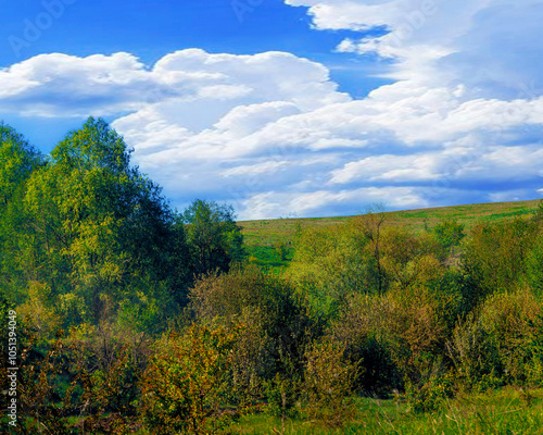 Panorama of the lake and green forest with fir trees in the park in summer in spring. Blue sky. with reflection in water. Bashkortostan. in the park. Blagoveshchensk. Russia. photo