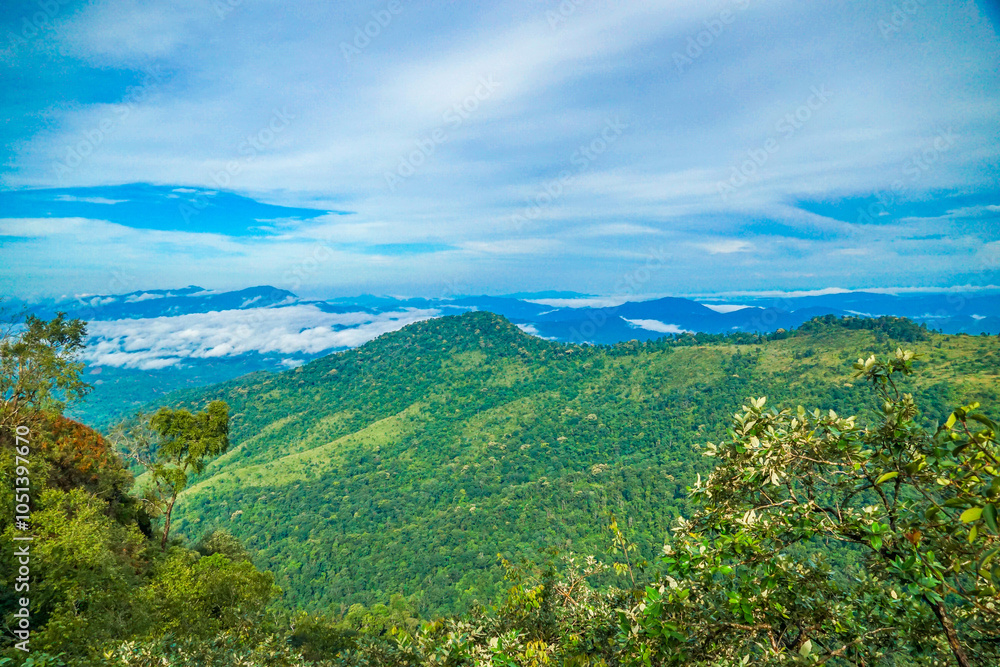 Obraz premium A lush green meadow with trees and mountains under a blue sky.