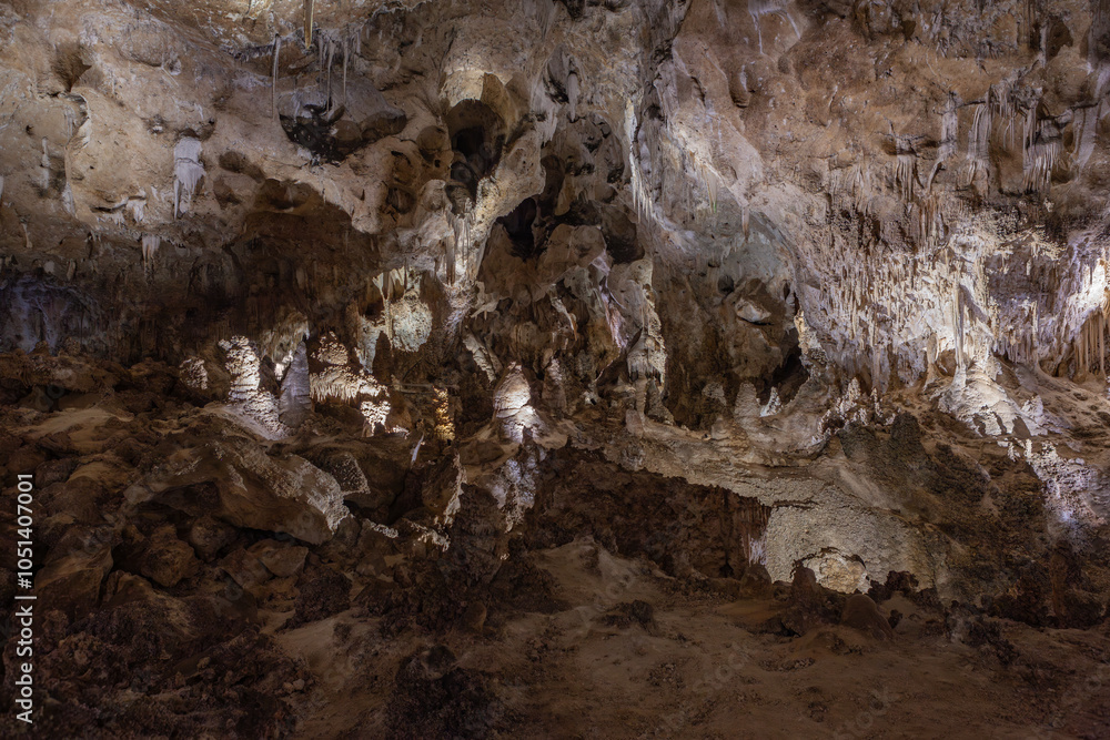 Fototapeta premium Carlsbad Caverns, New Mexico