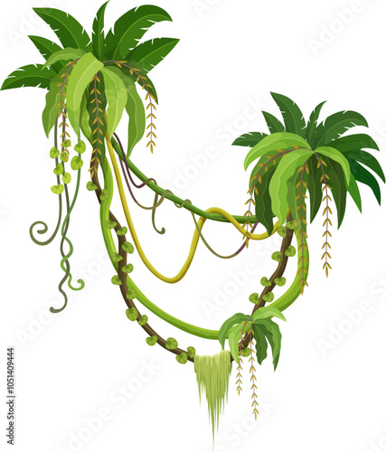 Tropical jungle rainforest vertical liana vine branch with leaves, vector ivy plant. Cartoon tropical liana of creeping jungle tree or bindweed plant with tendrils and monstera leaves from rainforest