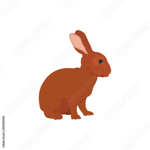 ector illustration of rabbit in cartoon flat style. A cute little fluffy rabbit in different pose and color. Illustration of livestock or wild animal isolated on white background for icon, infograph