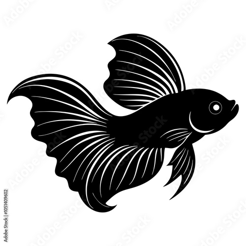 illustration of a betta fish photo