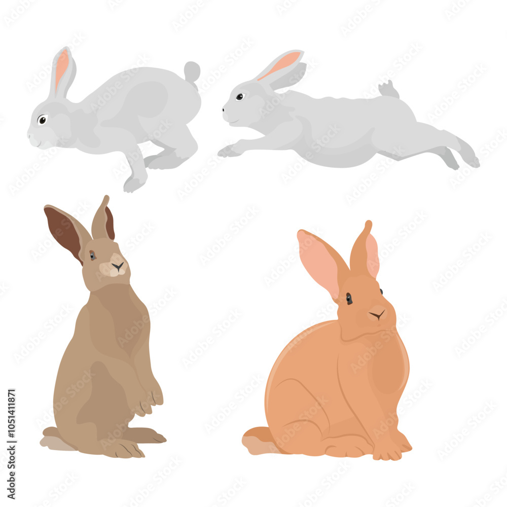 Vector illustration set of rabbit in cartoon flat style. A cute little fluffy rabbit in different pose and color. Illustration of livestock or wild animal isolated on white background for icon, Vector illustration set of rabbit in cartoon flat style. A cute little fluffy rabbit in different pose and color. Illustration of livestock or wild animal isolated on white background for icon,