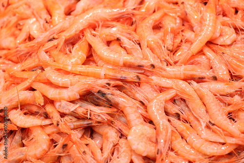 Wallpaper Mural Shrimps at the fish stall in the Mercado Central de Atarazanas in the old town of Malaga, Andalusia, Spain    Torontodigital.ca