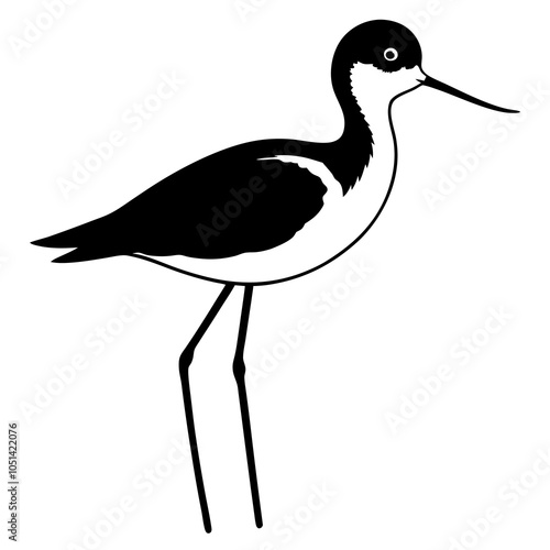 illustration of a black necked stilt