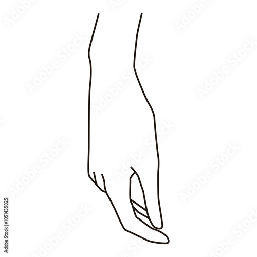 Outline of a female hand in a relaxed, downward position, ideal for fashion design, illustration, and anatomical reference.

