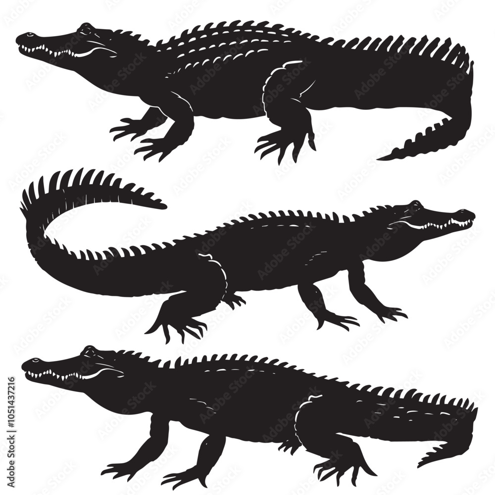 Fototapeta premium Alligators silhouette isolated in White background