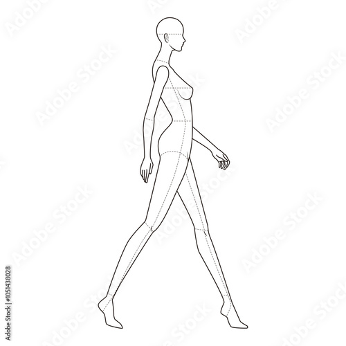 Minimalist line art of a female figure in profile walking forward, with anatomical guides, perfect for fashion design and anatomical references.

