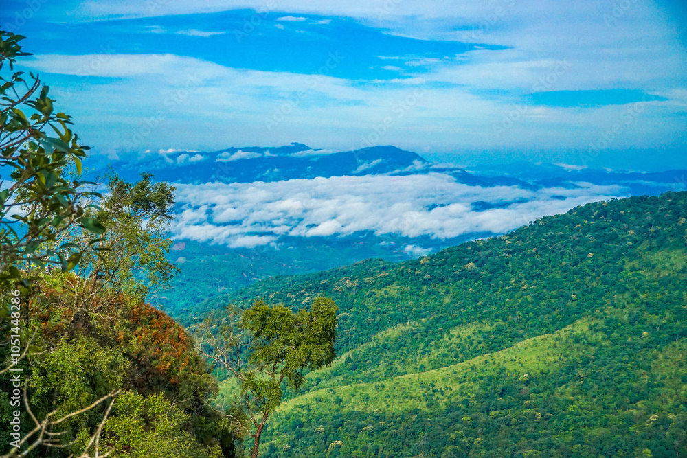 Obraz premium A breathtaking view of lush green hills under a vibrant blue sky with fluffy clouds.