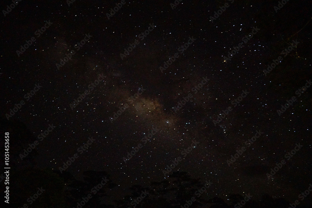 Obraz premium A stunning view of the Milky Way galaxy under a starry night sky.