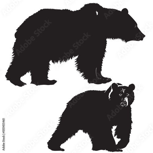 Bears silhouette isolated in White background