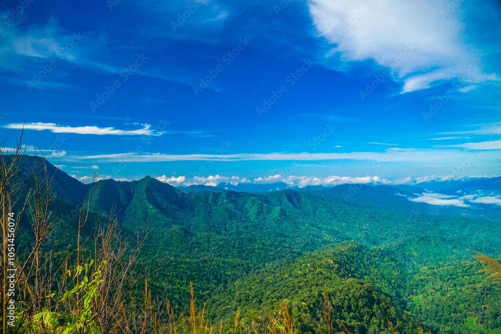 A mesmerizing view of rolling hills under a vast blue sky. A mesmerizing view of rolling hills under a vast blue sky.