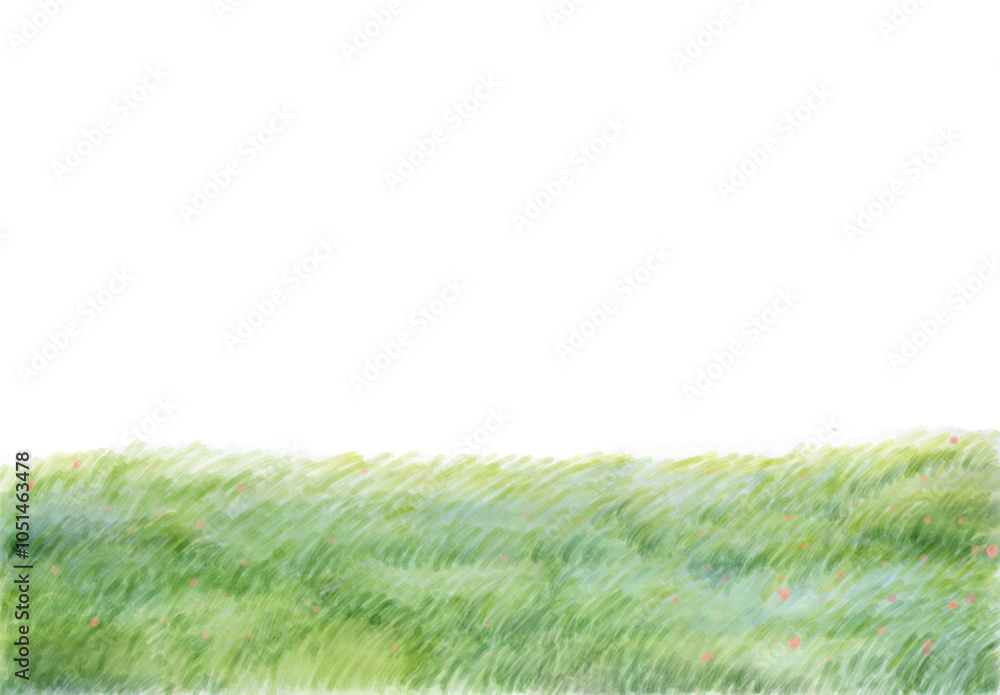 Windy in grass Windy in grass