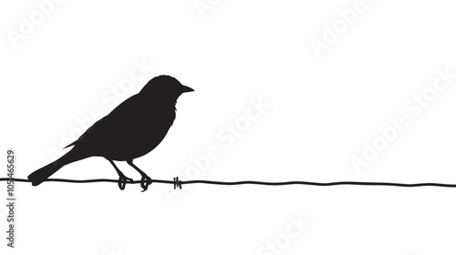 Black and white bird illustration of a silhouette on a wire