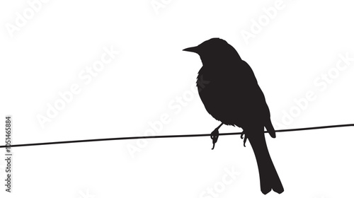 Black and white bird illustration of a silhouette on a wire