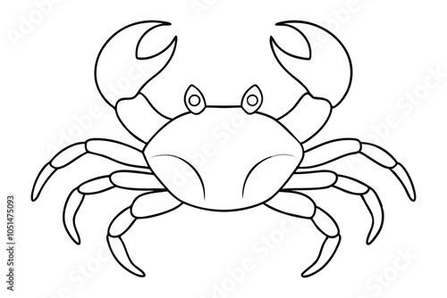 Crabs line art vector illustration. EPS File photo