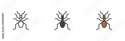 Meloe beetle different style icon set